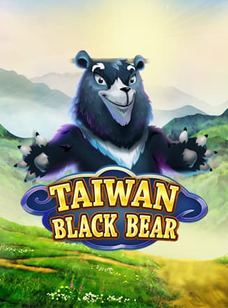 Taiwan Black Bear