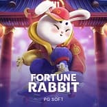 Fortune Rabbit